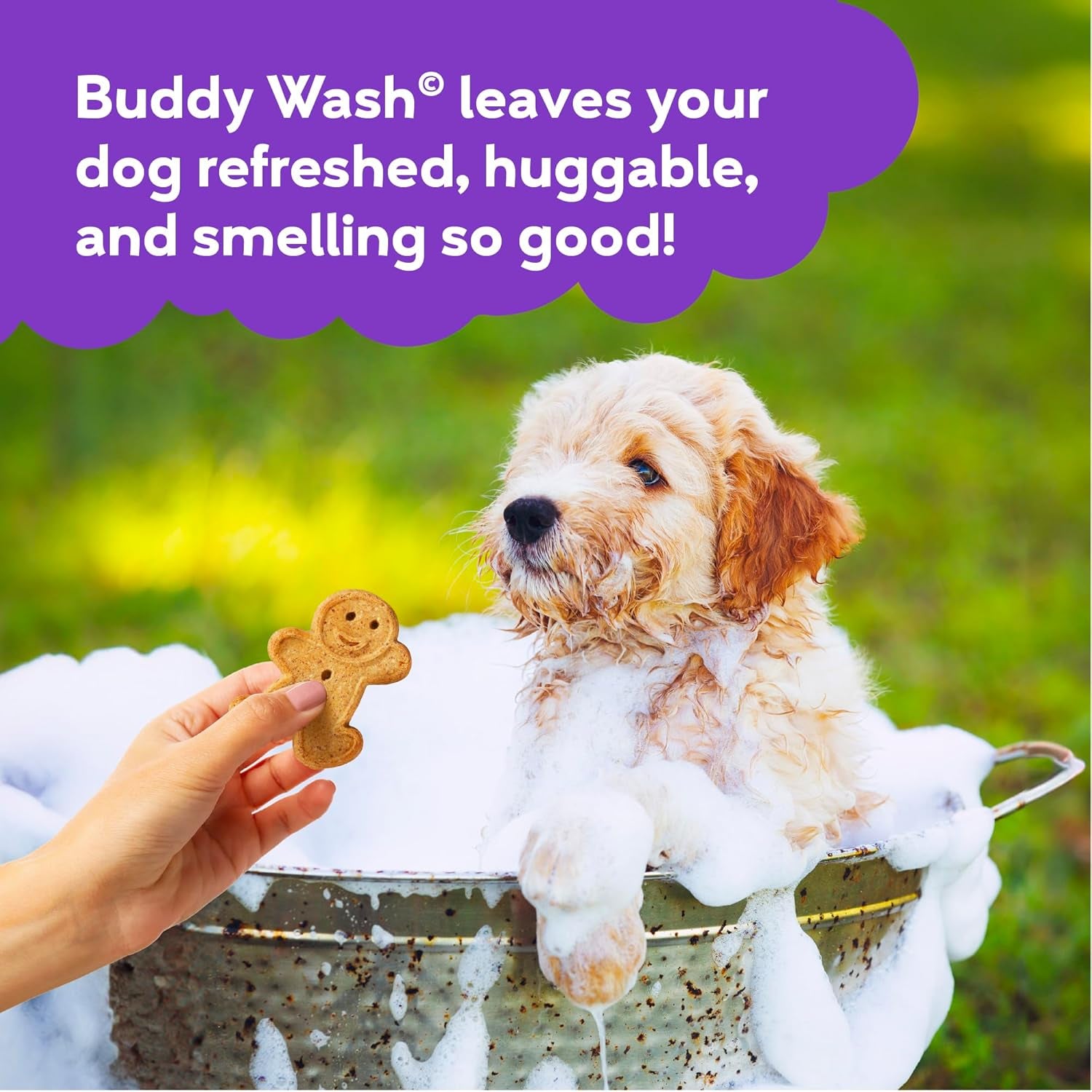 Buddy Wash 2-in-1 Lavender & Mint Dog Shampoo and Conditioner for Grooming, 1 Gallon Bottle